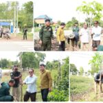 GridArt_20251023_133305704